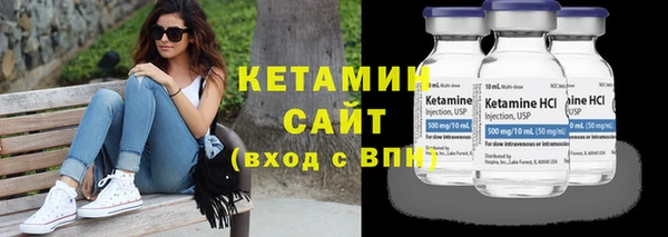 крисы Бородино
