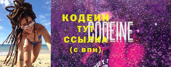 крисы Бородино