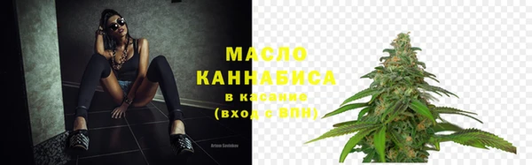 крисы Бородино