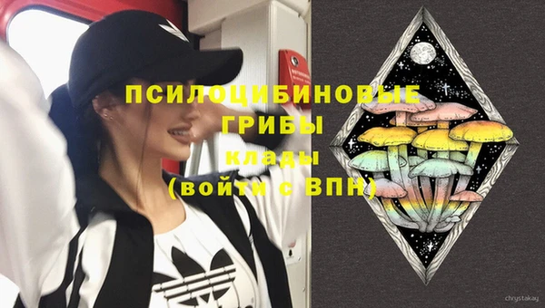 стафф Семикаракорск