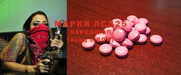 крисы Бородино