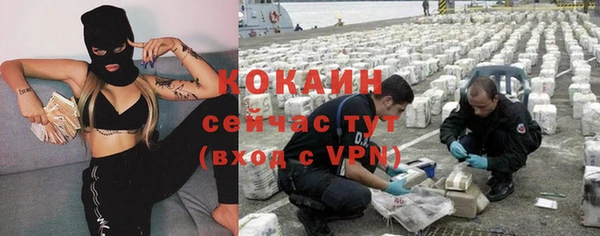 крисы Бородино