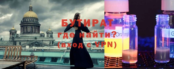 крисы Бородино