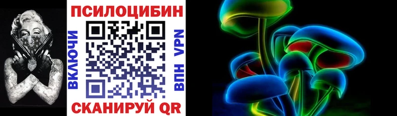 купить   Прокопьевск  Псилоцибиновые грибы Psilocybe 