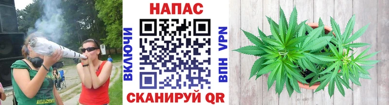 Бошки Шишки Amnesia  площадка наркотические препараты  Прокопьевск  omg tor 